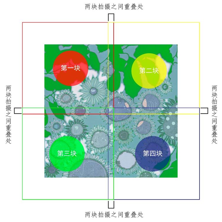 如何用單反相機(jī)拍攝高清書(shū)畫(huà)作品