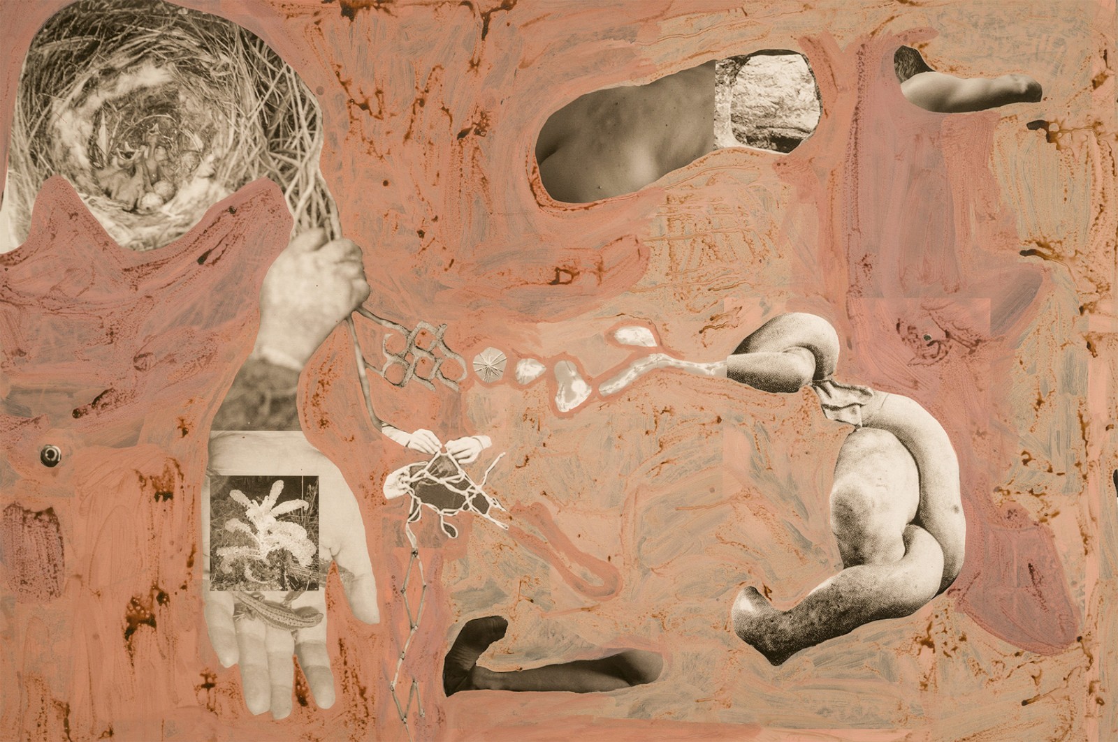 圖十二、《地勢 (關(guān)于時間，關(guān)于身體)》 (細節(jié)圖)，O?zlem Alt?n，2019
